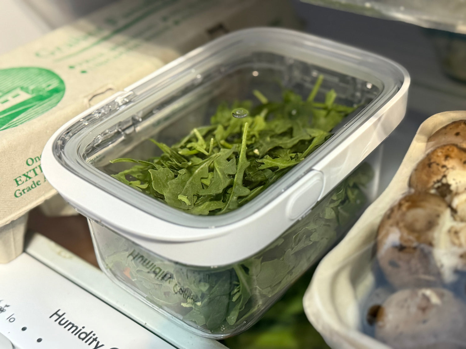 OneTouch Food Storage Container
