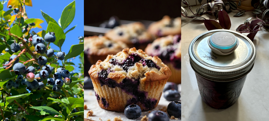 Best Ways to Use Blueberries 🫐