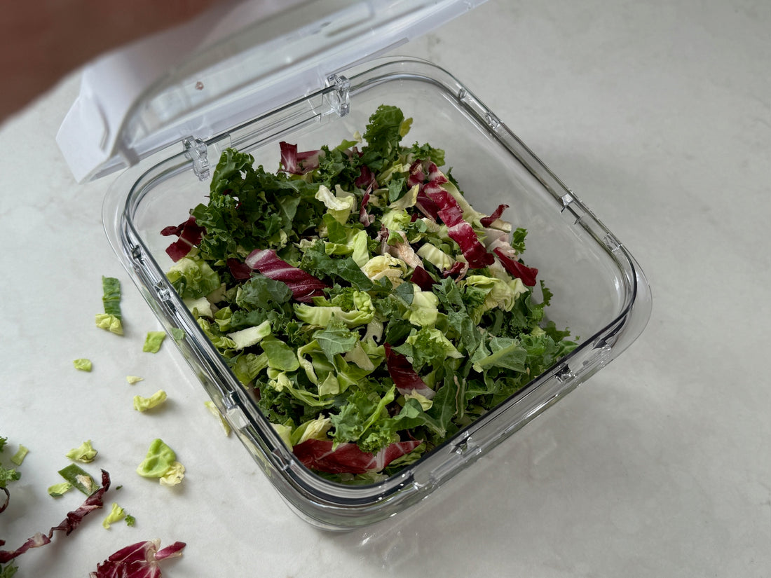 OneTouch Food Storage Container