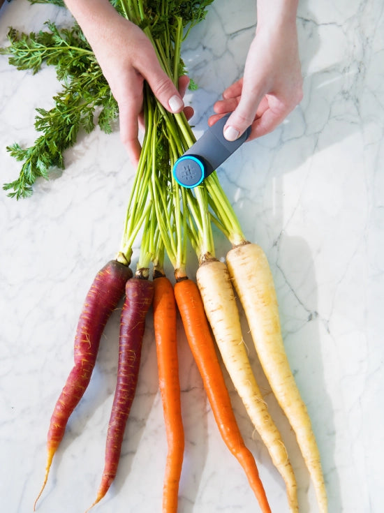 Stylized photo of 6 carrots in color-gradient order from purple to orange to white with person attaching Ovie LightTag to carrot tops